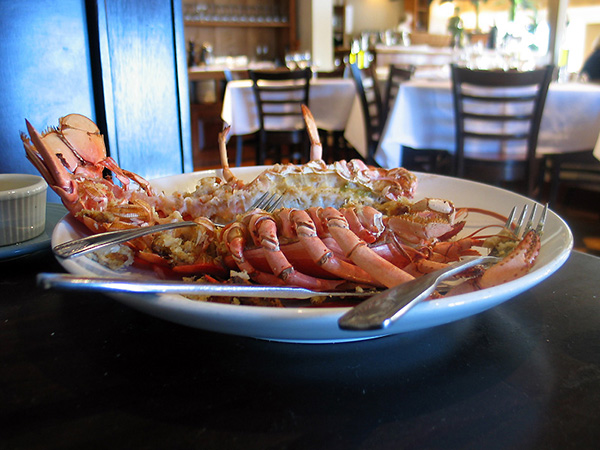 Lobster!