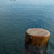 View from the dock at the bottom of Main Street in Bar Harbor