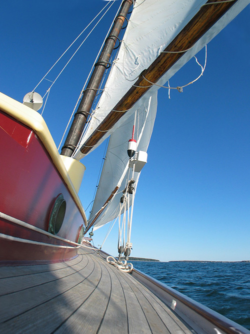 Harbor cruise