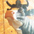 Cows