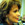 Cheryl Jones