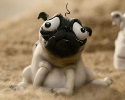 A dog named Kevin