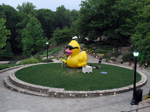 Gigantic duck