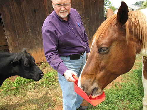 Buren, Hard Head and a cow