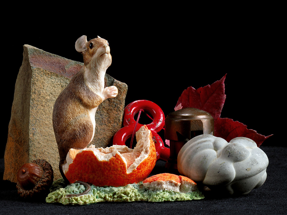Still life with stage screw